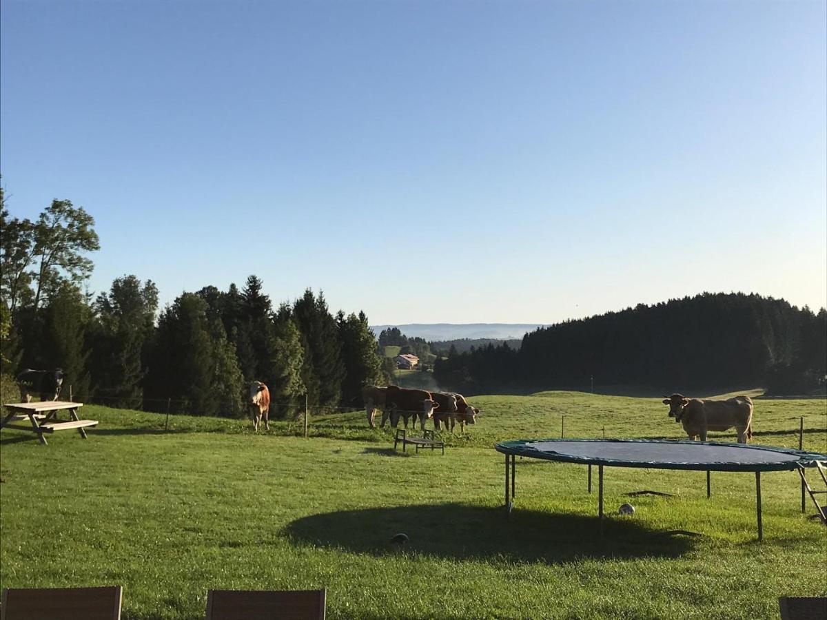 Gmeinder'S Landhaus Immenstadt im Allgäu Extérieur photo